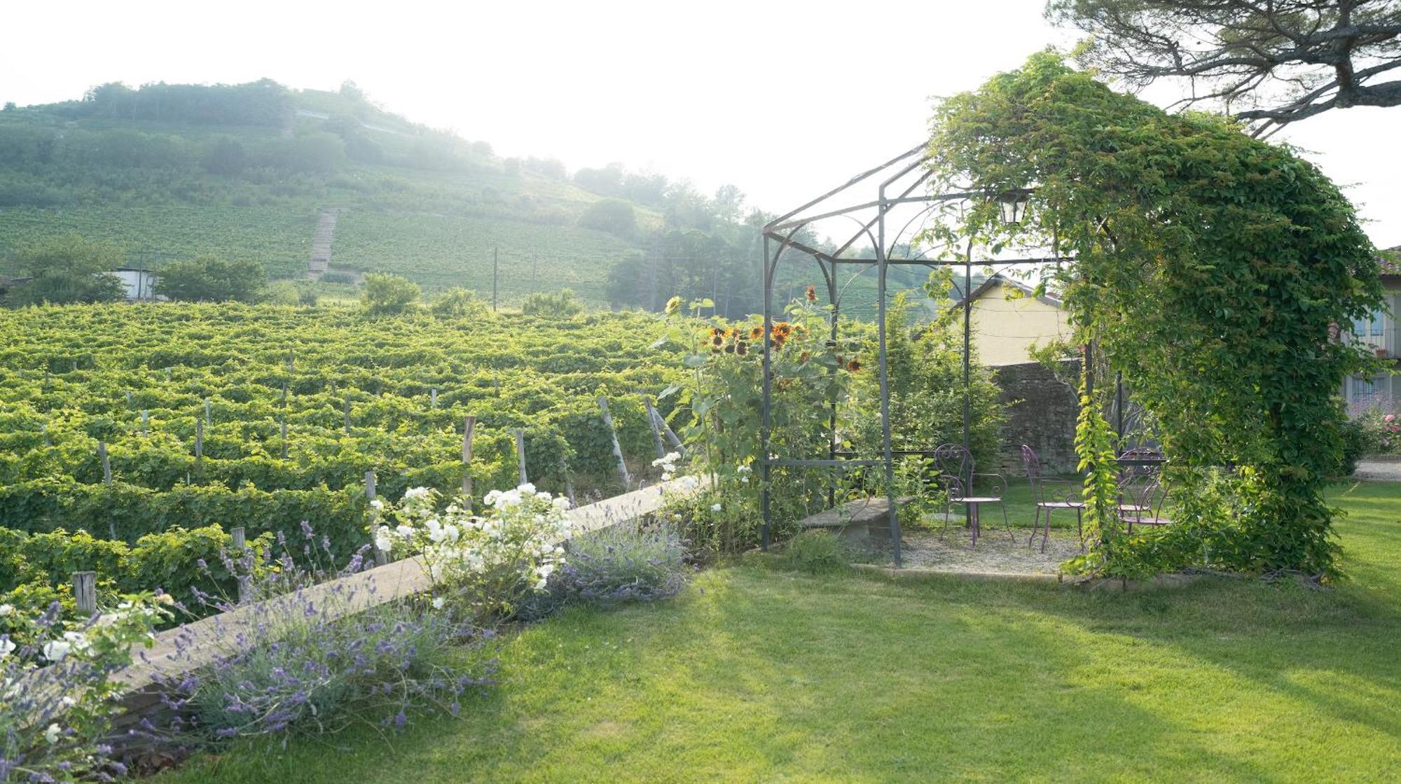 Vigne Di Fagnano 1709 Eco Relais Guest House Santo Stefano Belbo Ngoại thất bức ảnh